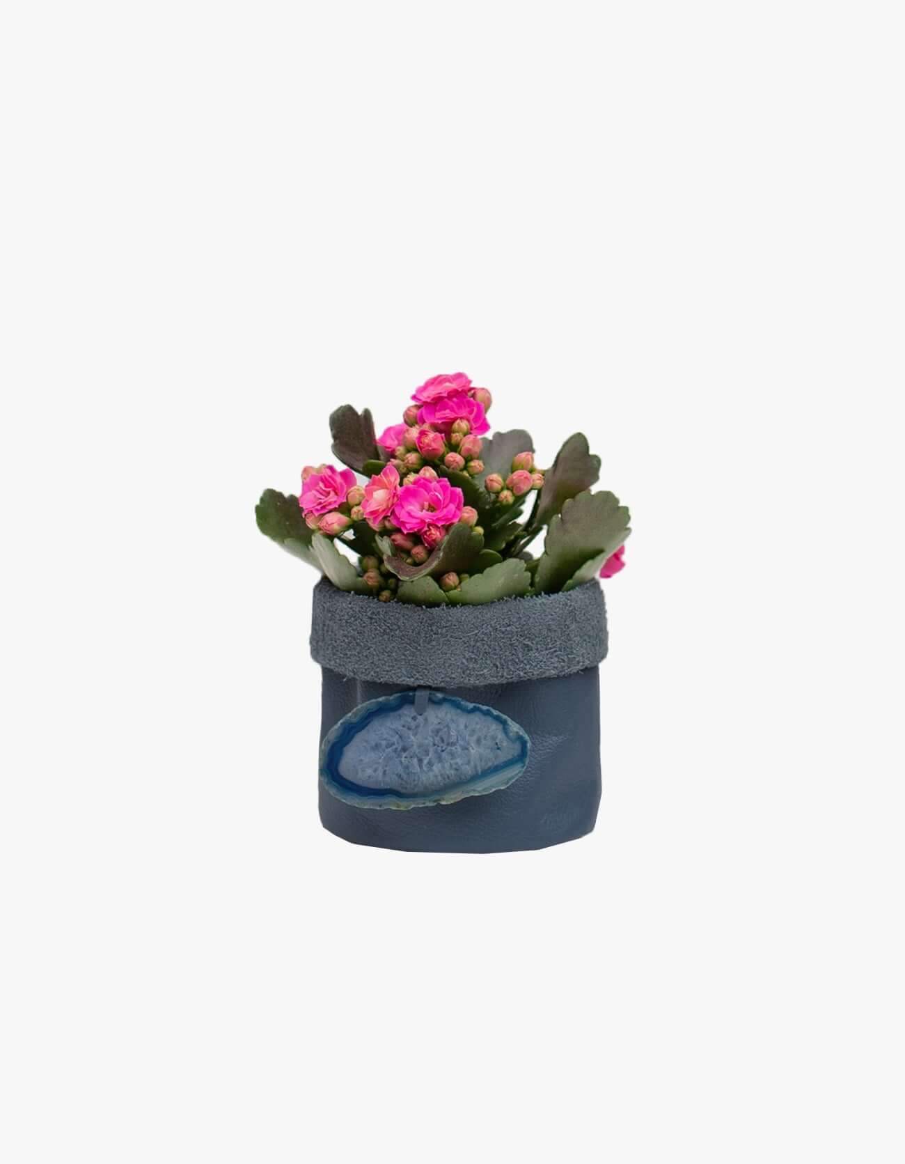 Cachepot de Couro Krystallos Azul PP