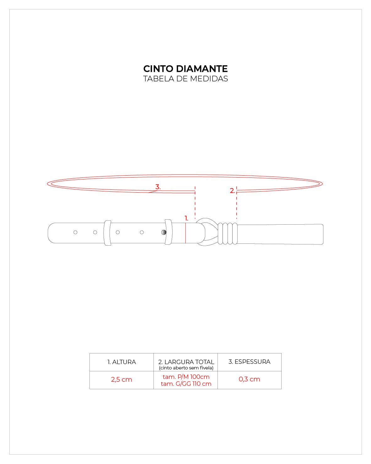 Cinto Diamante Prata