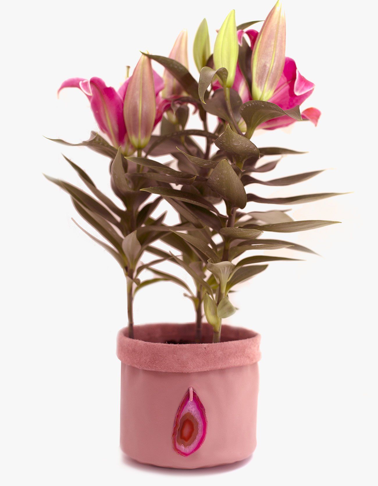 CACHEPOT DE COURO KRYSTALLOS ROSA