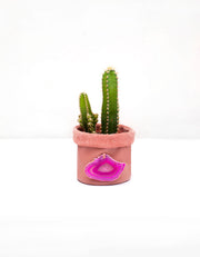 Cachepot de Couro Krystallos Rosa PP